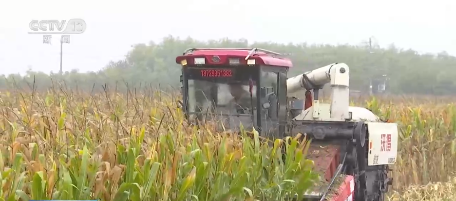 “干”字当头！各地多举措保“三秋”生产 全力守护群众“粮袋子”