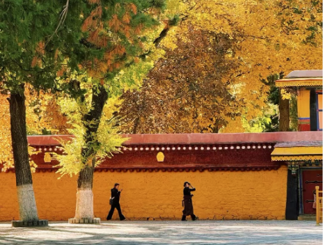 秋意浓，寒渐重，这样调养身体最管用！