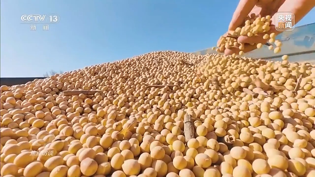 焦点访谈丨从抗旱到抢收 解读粮食增产背后的“密码”