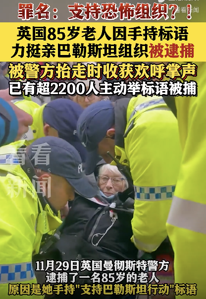 英85岁老人手持标语挺亲巴组织被捕