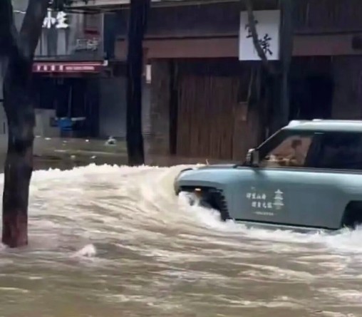 网友拍摄的视频