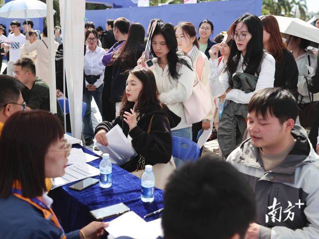 “百万英才汇南粤”2025年湛江市“才聚港城”秋季招聘会