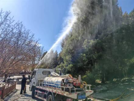 北京每日3次喷水降低花粉浓度