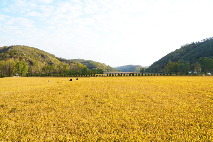 红星照耀中国丨永远的《南泥湾》旋律，永远的南泥湾精神