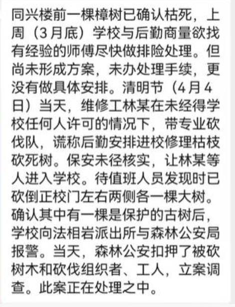 湖南一中学门口三百年古银杏树被砍