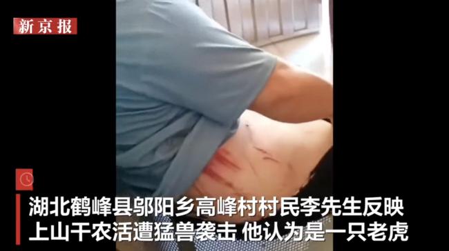 林业局推测村民或遭豹子袭击，当地历史上并无老虎分布记录
