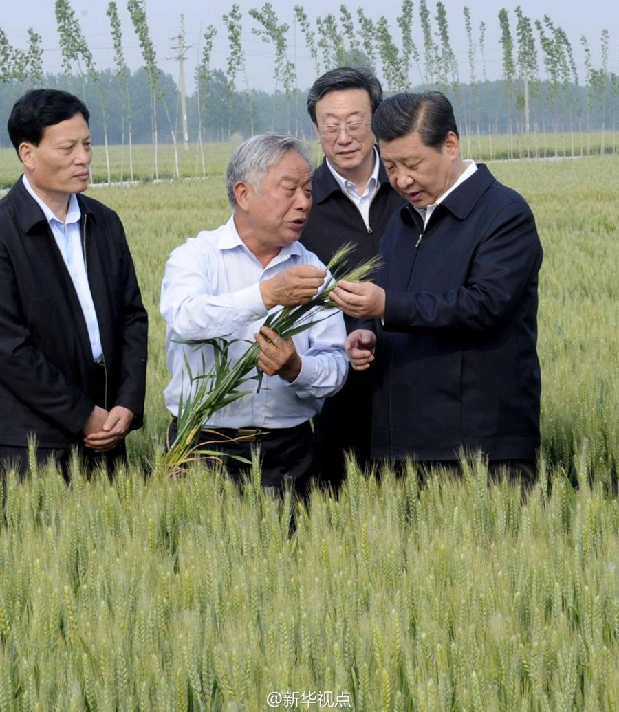 学习进行时丨是贡献,也是奉献——习近平总书记和河南的故事