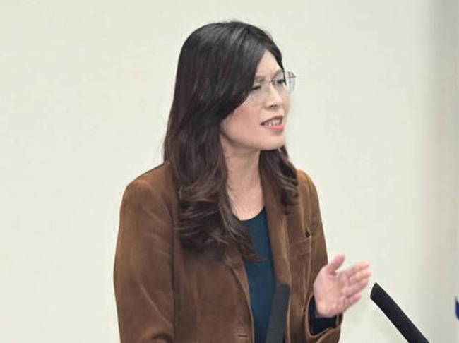 郑丽文：民进党活成了自己讨厌的样子