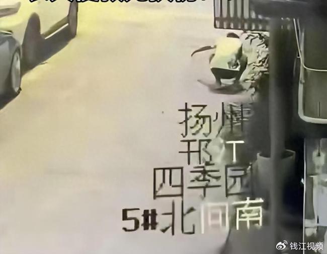 三甲医院一医生持弓箭射杀流浪猫