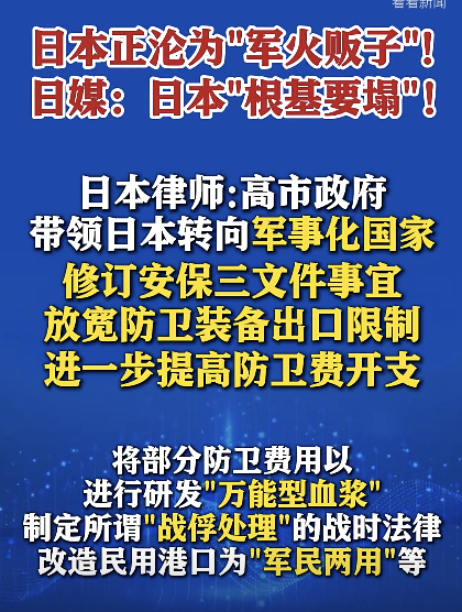 日本国家定位被指面临崩塌风险