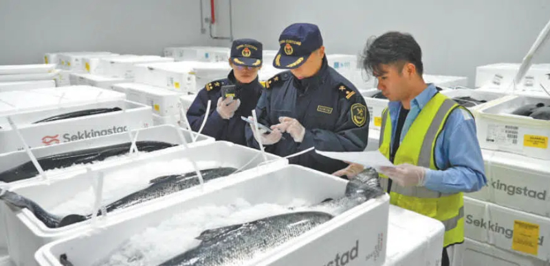 冷链物流支撑消费升级 冷链物流支撑消费升级