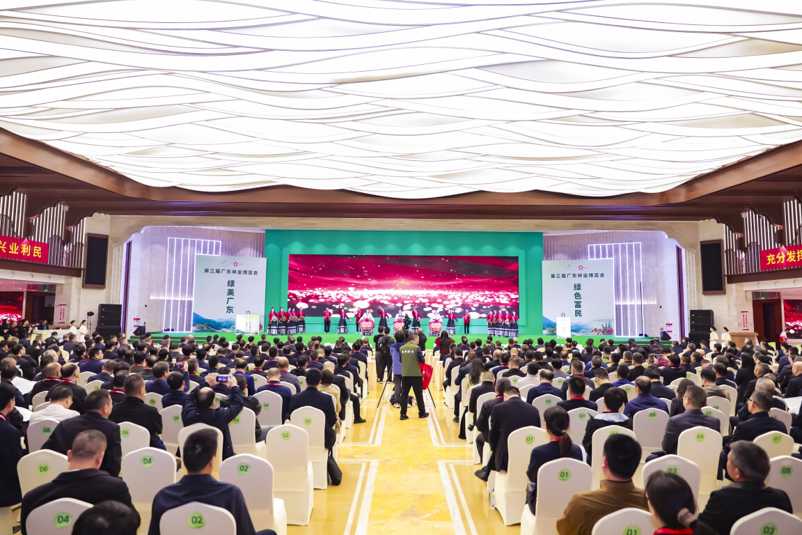 活动现场（通讯员供图）