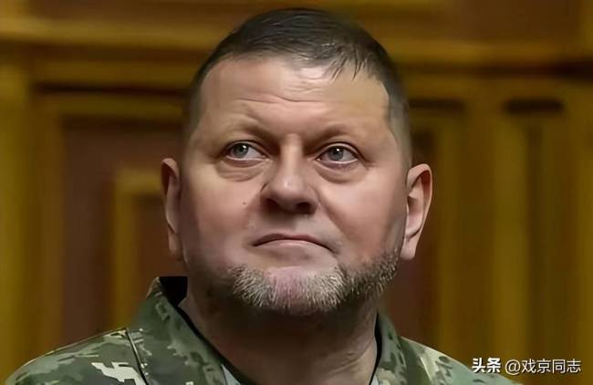 扎卢日内民调支持率超过泽连斯基