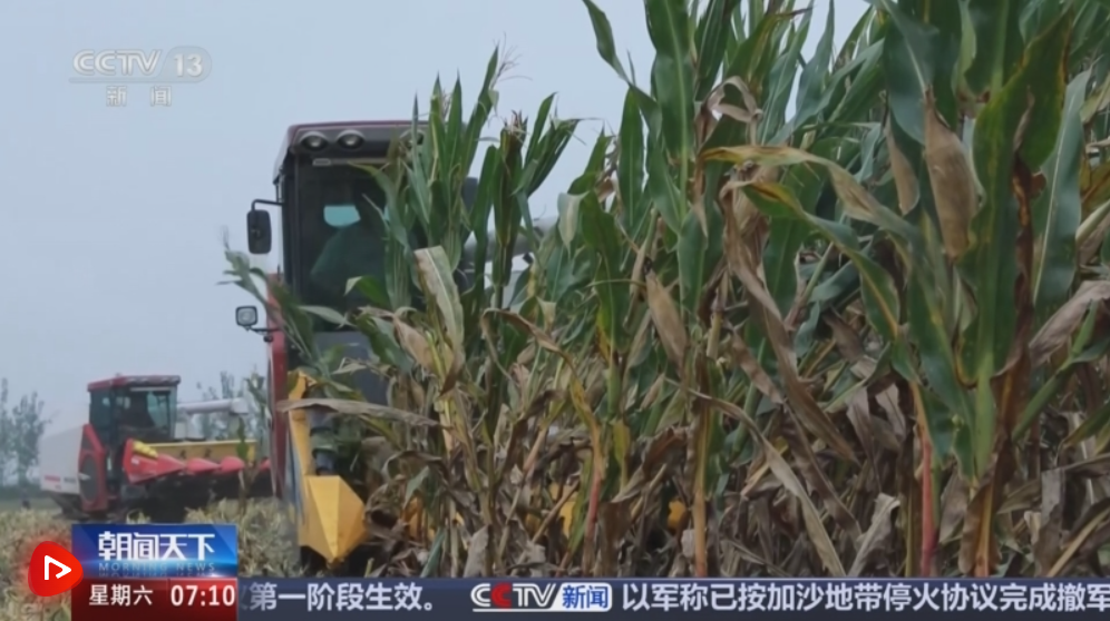 全国秋粮收获过五成！全程机械化护航秋收 粮食生产提质增效
