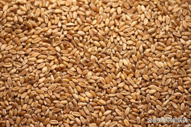 卖粮食被骗母子俩抱头痛哭