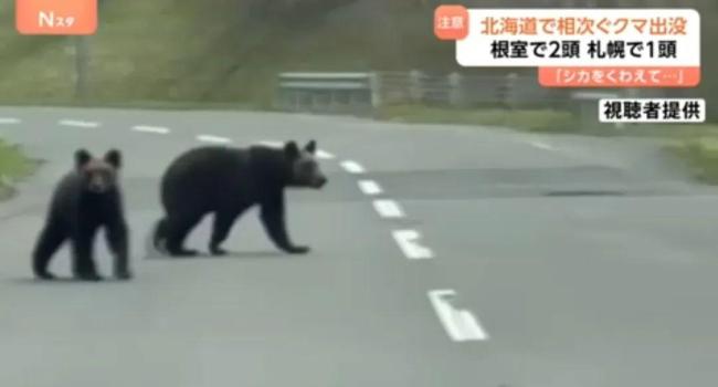中国驻日本札幌总领馆发提醒