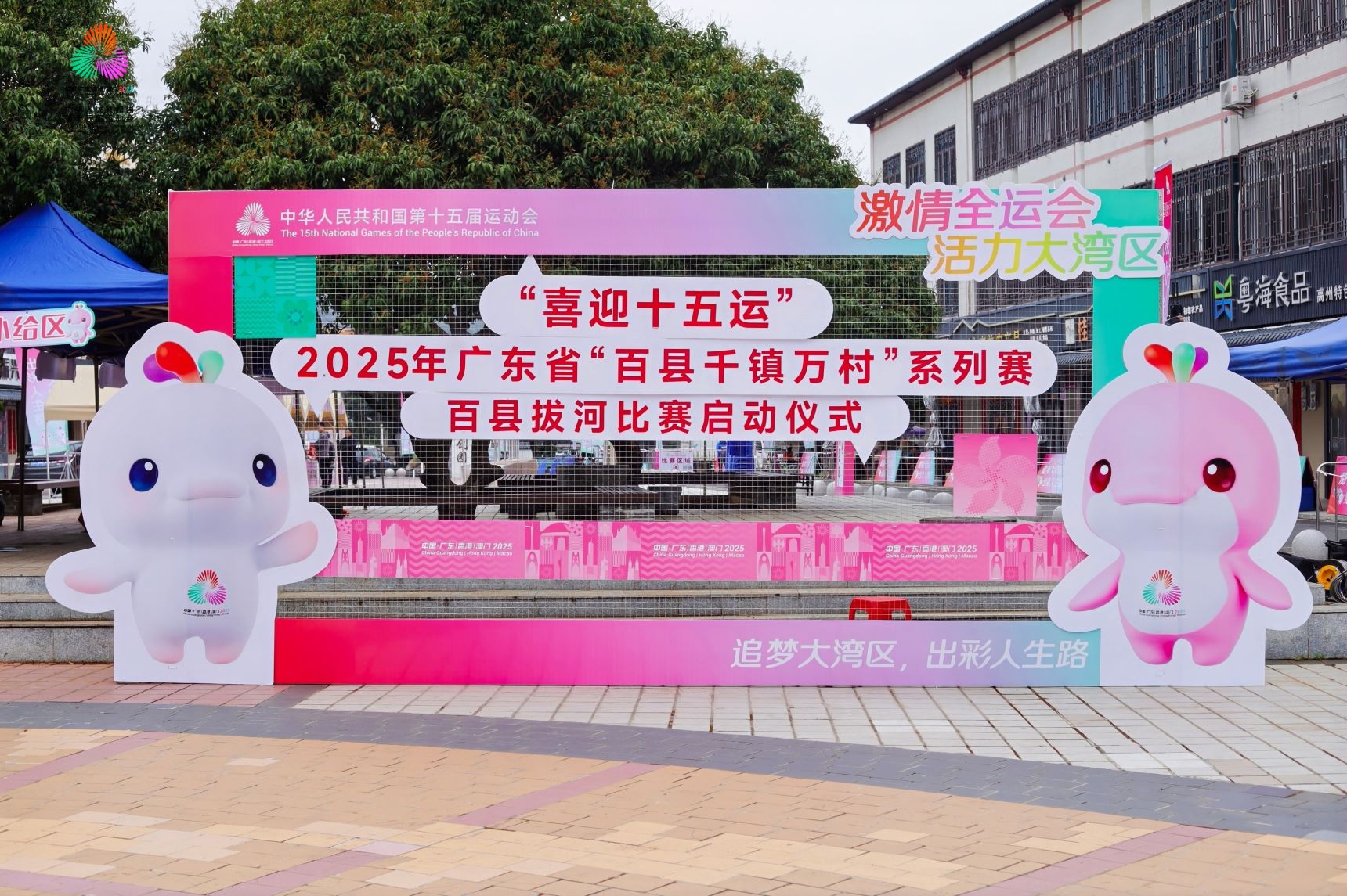 主办方供图