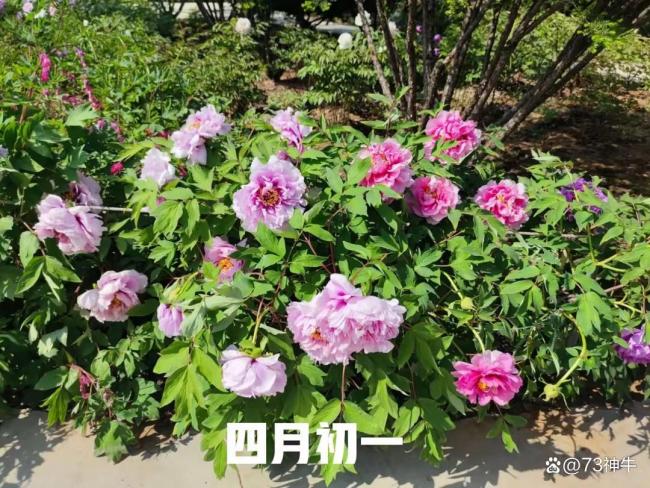 四月初一提醒:1要防、2不吃、3要避