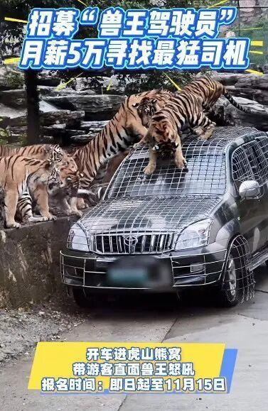 野生动物园谈月薪5万招司机