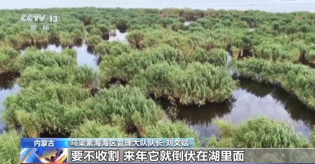 废旧塑料餐盒变身3D打印椅 “变废为宝”又有新招