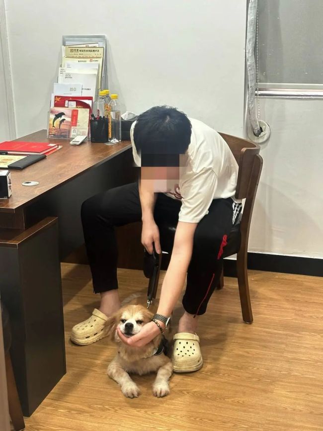 广州阿姨立遗嘱留给爱犬十几万 专家:真的有效