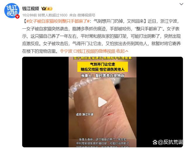 女子被自家猫咬到整只手都麻了