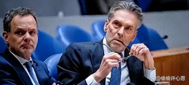 博主：荷兰抢安世只能抢到空壳