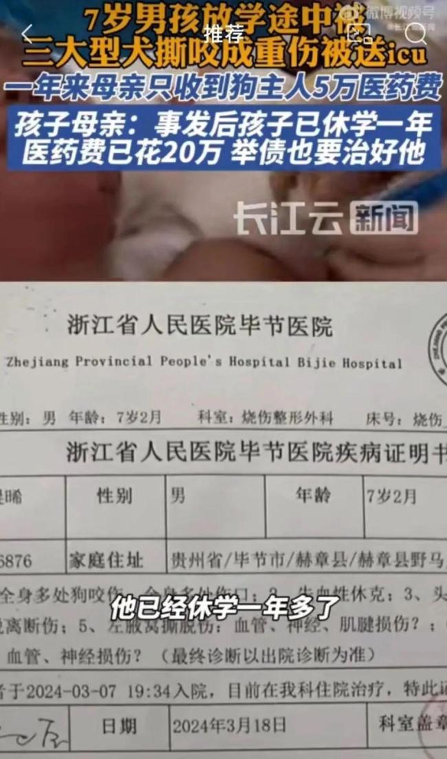7岁男孩放学途中被三大型大撕咬成重伤送进ICU,孩子母亲发声:举债也要治好他