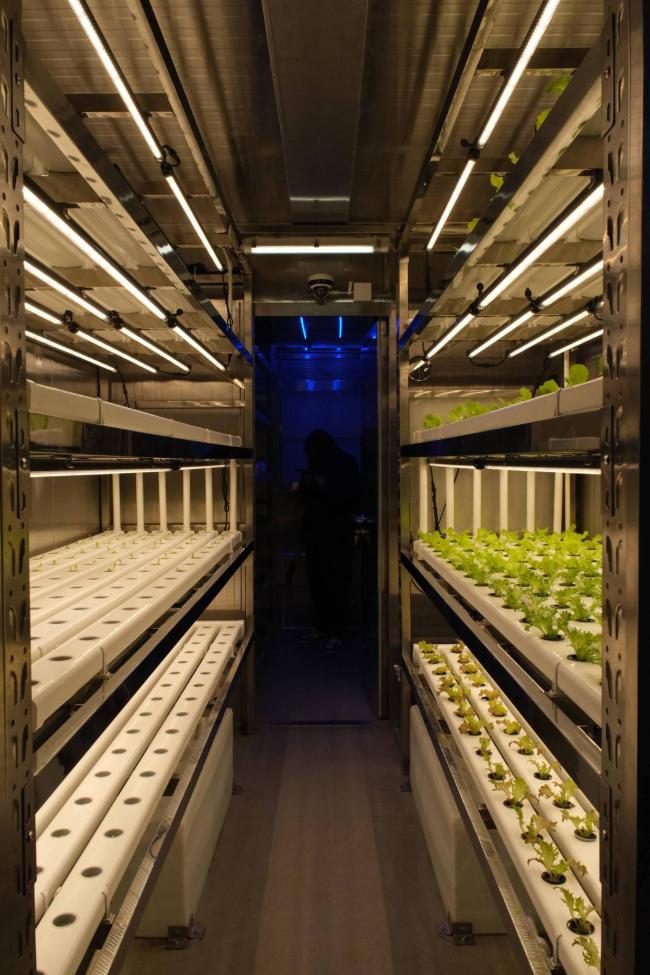 大洋极地也能种菜了