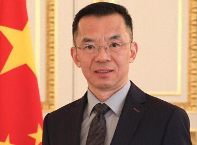 卢沙野说欧洲应摆脱价值观外交