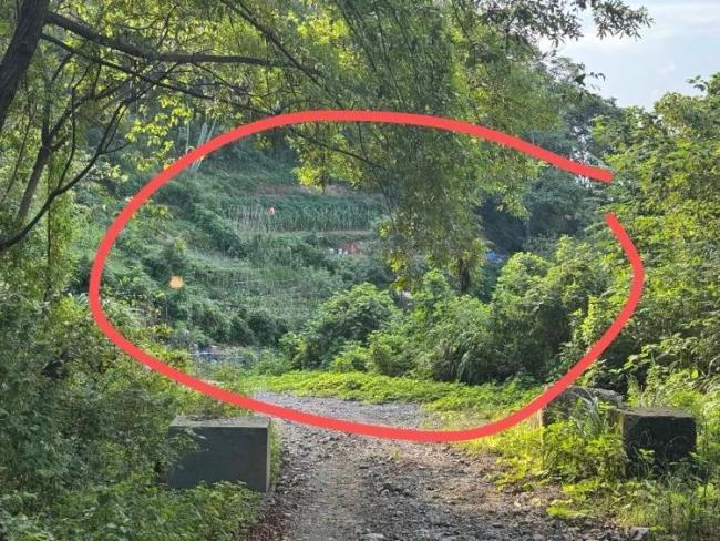 探访52岁女子误触氢氟酸身亡事发地，丈夫：已在老家给妻子办丧事