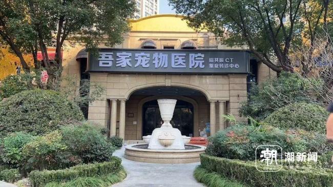 杭州一小区业主抵制宠物医院