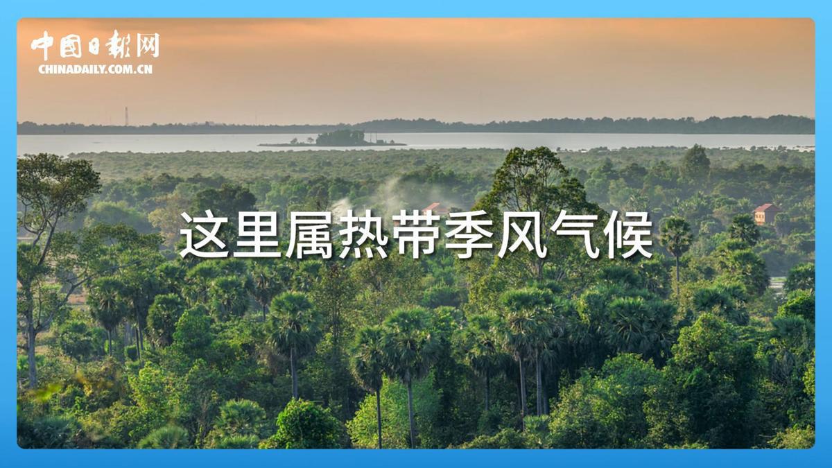 跟着习主席看世界 | 走进柬埔寨:首个同中国签署命运共同体行动计划的国家