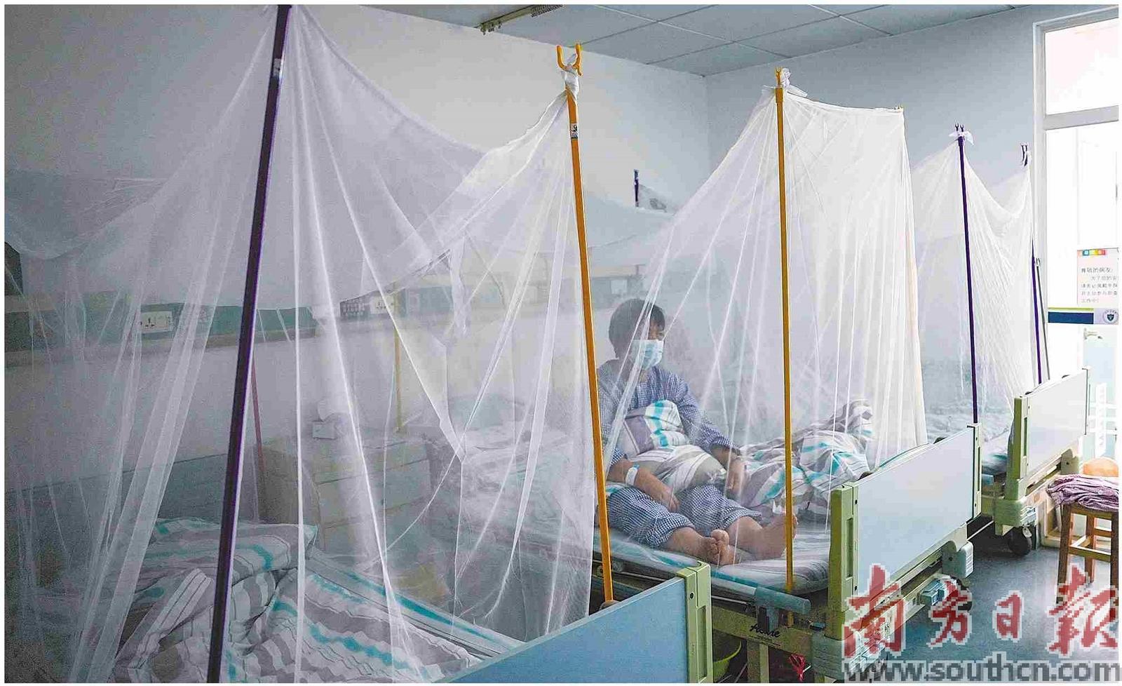 在佛山乐从医院，收治基孔肯雅热病人的每张病床都用蚊帐进行隔离。南方日报记者 董天健 戴嘉信 摄