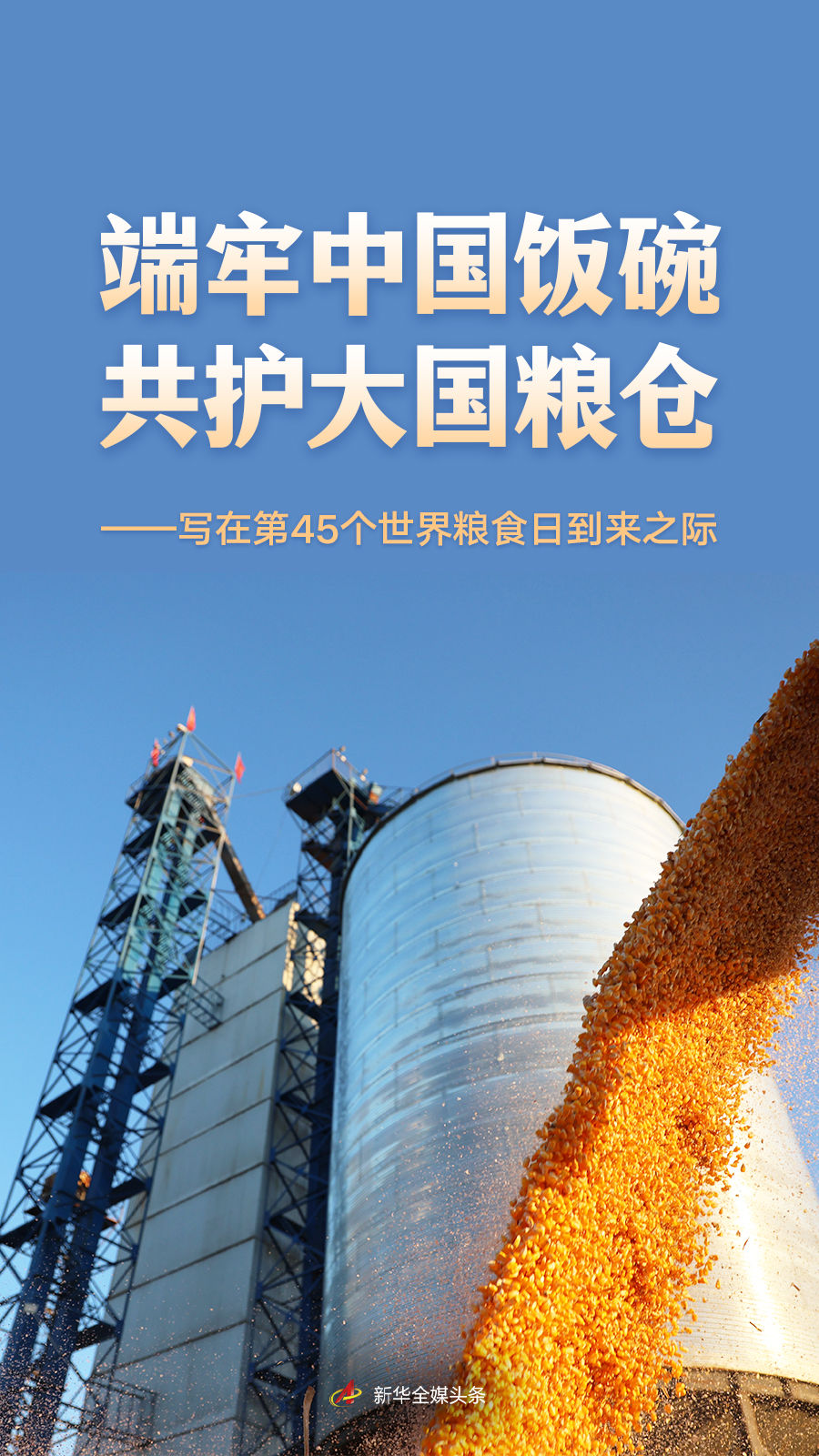 端牢中国饭碗 共护大国粮仓——写在第45个世界粮食日到来之际