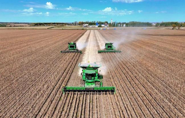 端牢中国饭碗有信心有底气