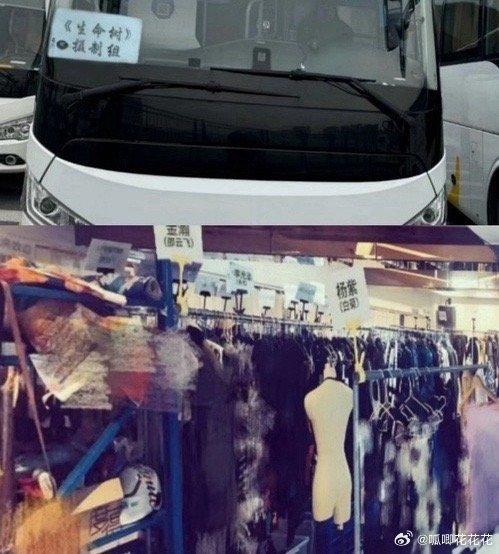 胡歌杨紫 生命树