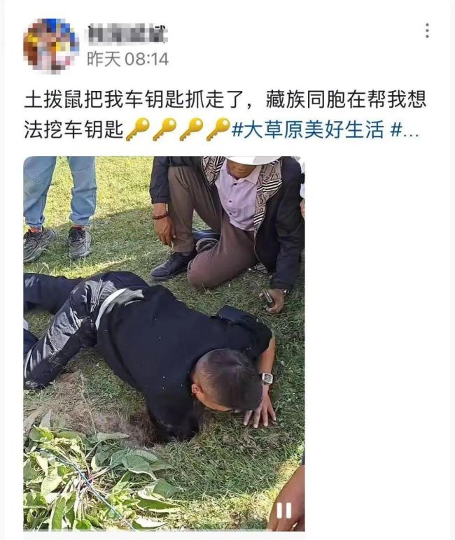 偷游客车钥匙的土拨鼠被拴起来了