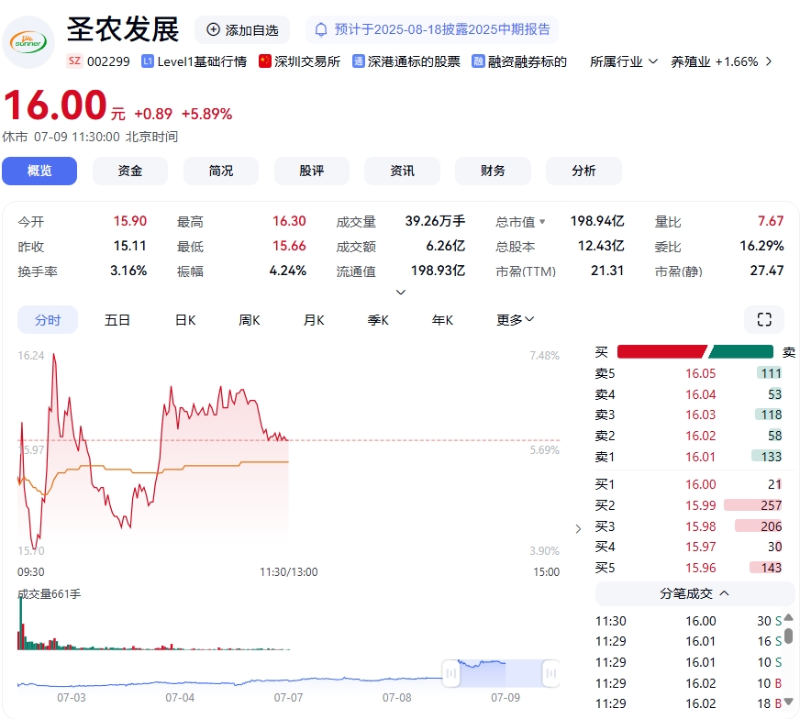 午盘