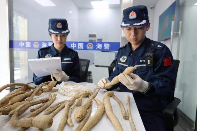 3人未经批准在无人岛挖中药材被查获