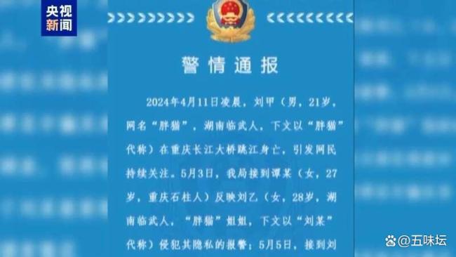 央视还原胖猫事件真相 舆论风暴背后的真相与反思
