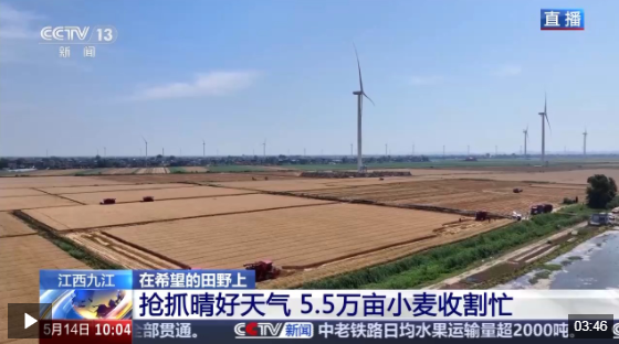 收割机装上摄像头、无人插秧机“上岗”……各地尽显科技范儿 收割机装上摄像头、无人插秧机“上岗”……各地尽显科技范儿