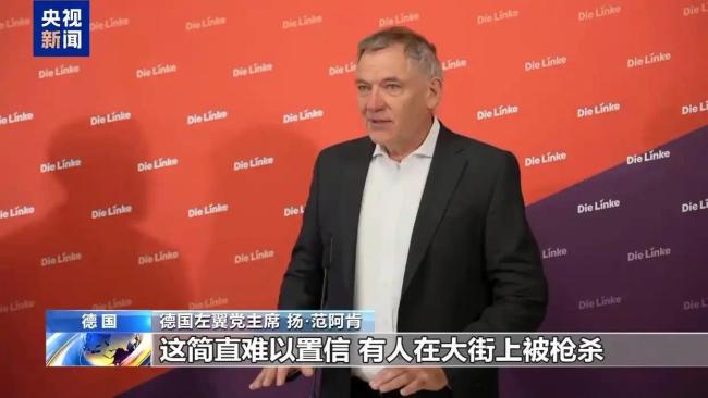 德左翼党主席呼吁德对以施压