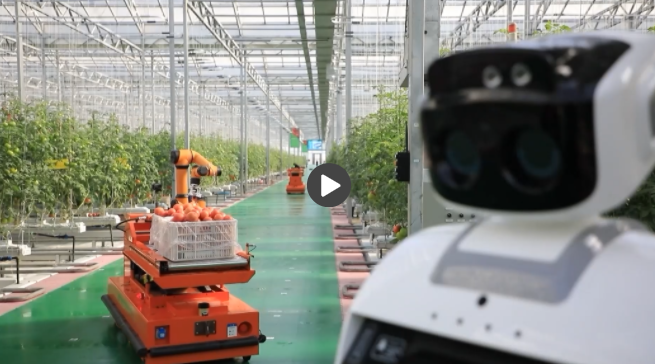 “智”绘新丰景丨数字深耕田园地，智能催旺丰收年