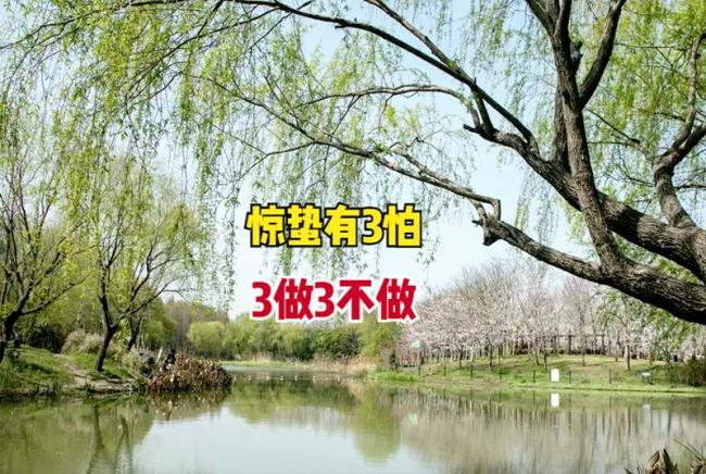 明天惊蛰，“惊蛰闻雷响，谷米贱似泥”
