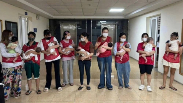 越南捣破大型代孕集团救出11婴