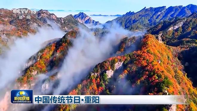 文化中国行丨登高远眺 踏秋赏景 一起感受重阳节文化之美