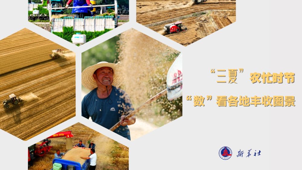 微视频|“三夏”农忙时节 “数”看各地丰收图景 微视频|“三夏”农忙时节 “数”看各地丰收图景
