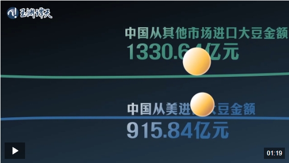 玉渊谭天丨七年见证中美大豆贸易攻守转换 玉渊谭天丨七年见证中美大豆贸易攻守转换