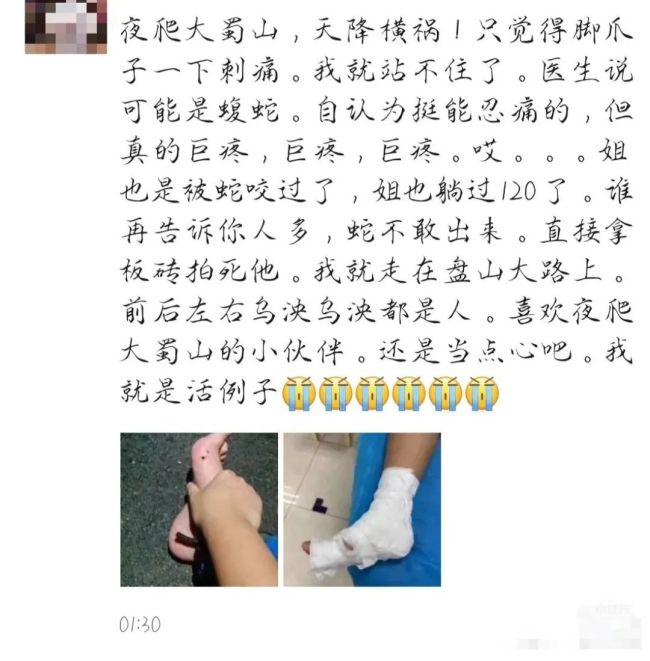 女子夜爬大蜀山被毒蛇咬伤!这种蛇善于伪装